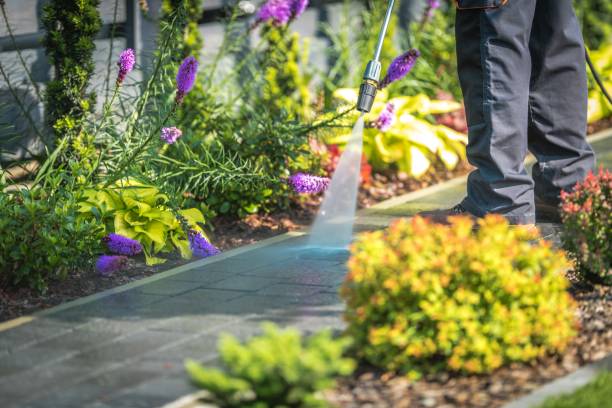 Best Gas Station Cleaning  in Janesville, CA