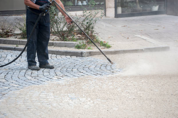 Best Factory Floor Cleaning  in Janesville, CA
